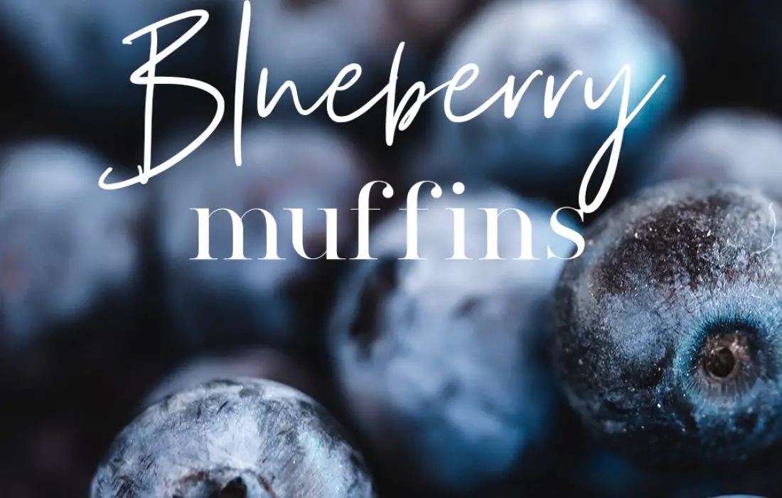 Perfect-Blueberry-Muffins