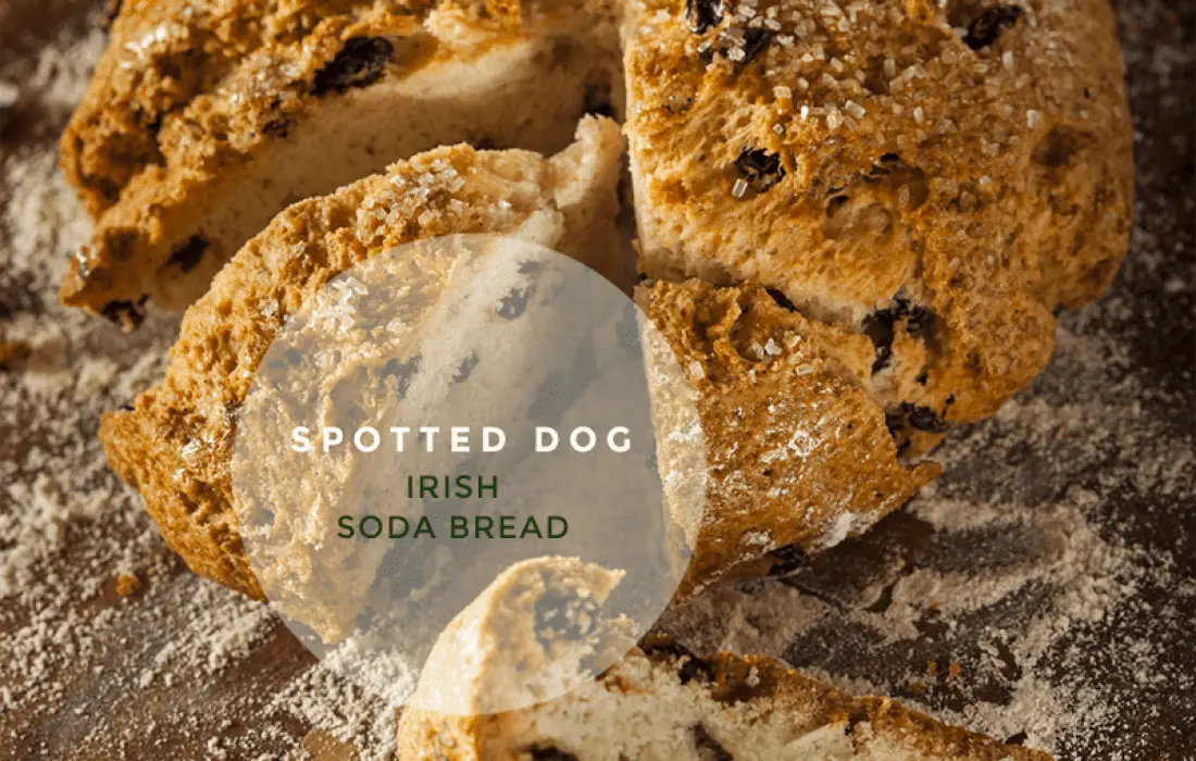 Spotted Dog Irish Soda Bread
