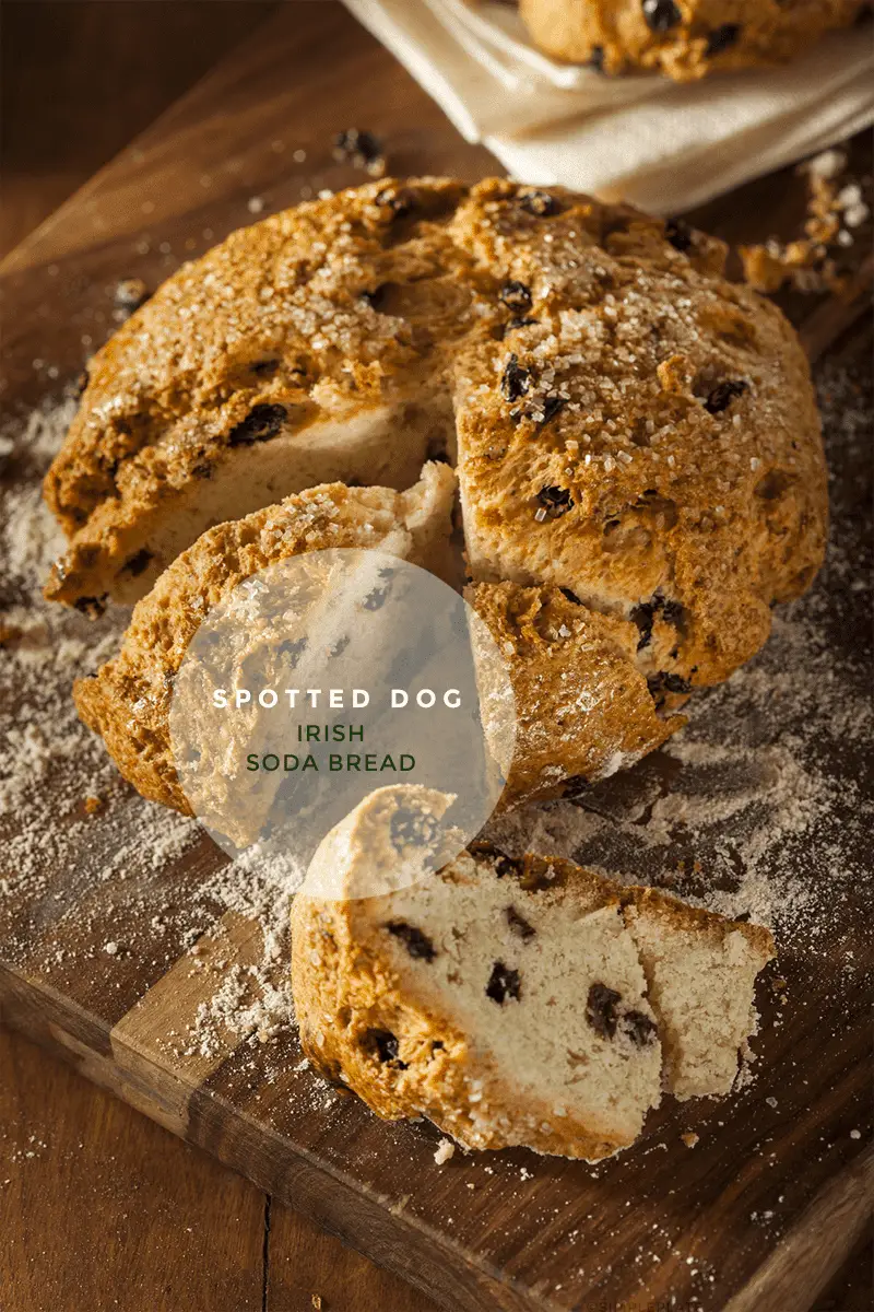 Spotted Dog Irish Soda Bread